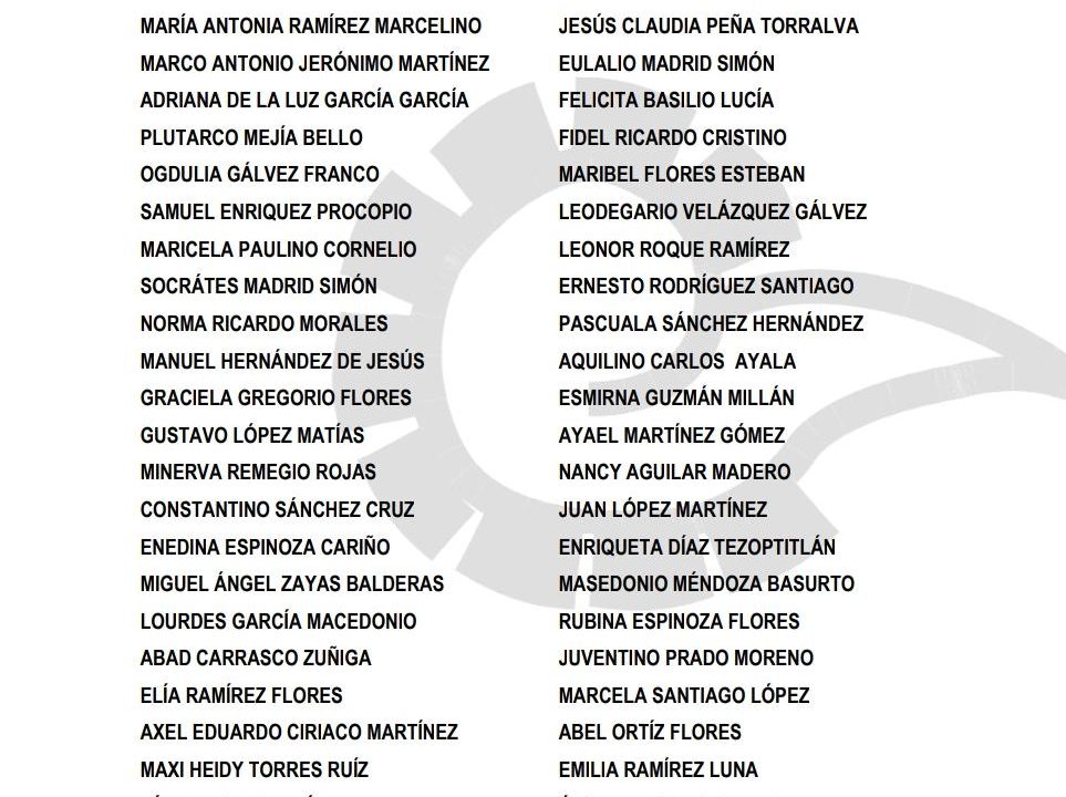 PARTICIPANTES DEL PRIMER PARLAMENTO DE HABLANTES DE LENGUAS INDÍGENAS 2019