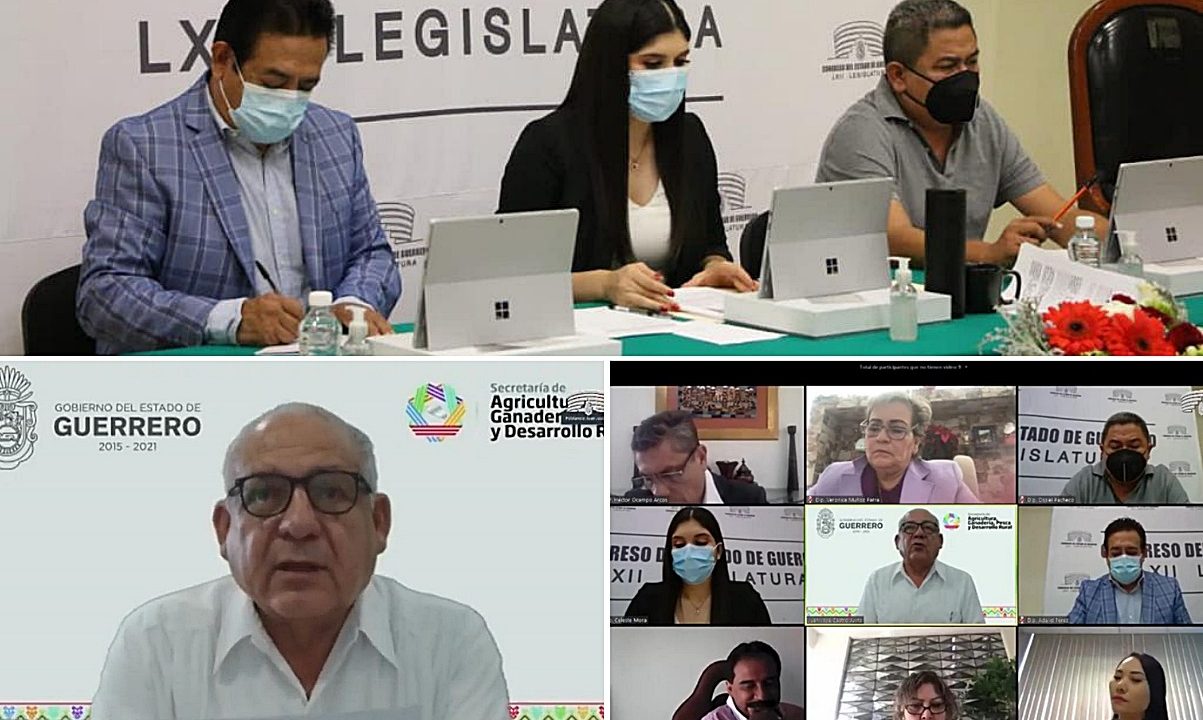 ES URGENTE DIVERSIFICAR Y BRINDAR MÁS APOYO A LA PRODUCCIÓN EN EL CAMPO, SEÑALAN DIPUTADOS EN COMPARECENCIA DE TITULAR DE LA SAGADEGRO