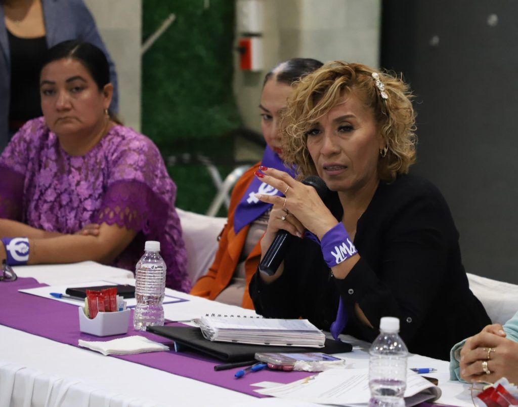 DIPUTADAS Y ORGANIZACIONES DE MUJERES ACUERDAN AGENDA COMÚN POR LA IGUALDAD Y CONTRA LA VIOLENCIA