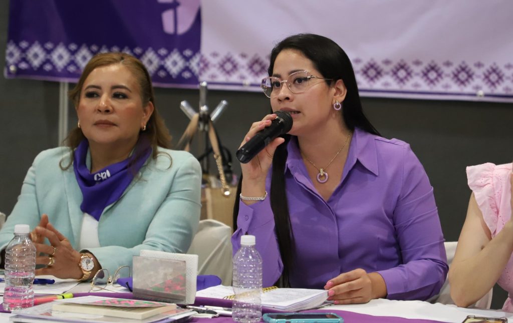 DIPUTADAS Y ORGANIZACIONES DE MUJERES ACUERDAN AGENDA COMÚN POR LA IGUALDAD Y CONTRA LA VIOLENCIA