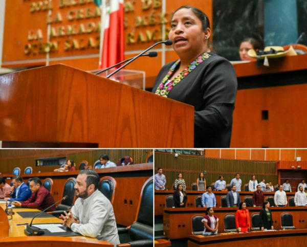 PROPONE EN EL CONGRESO QUE DEPENDENCIAS ESTATALES Y AYUNTAMIENTOS TRABAJEN CONTRA CONDUCTAS PATRIARCALES EN LA MONTAÑA DE GUERRERO