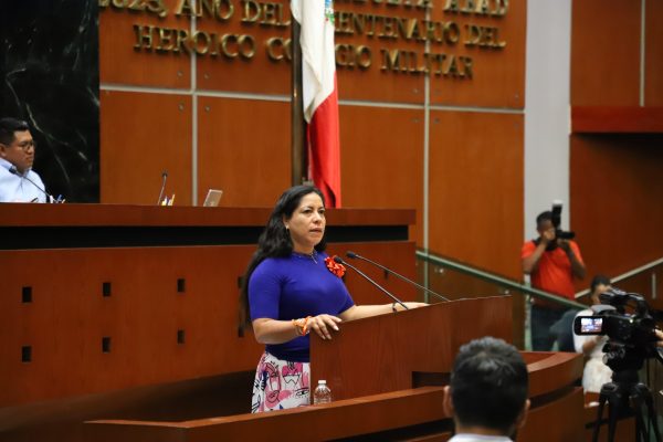 PROPONE DIPUTADA EXHORTO A CAPACH PARA REPARACIÓN Y DESAZOLVE DE DRENAJE EN BARRANCA ALPUYECA