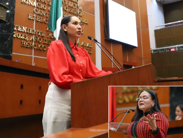 ANALIZA LA LXIV LEGISLATURA FACULTAR A JUECES PENALES LA INSCRIPCIÓN DE DEUDORES ALIMENTARIOS EN EL PADRÓN