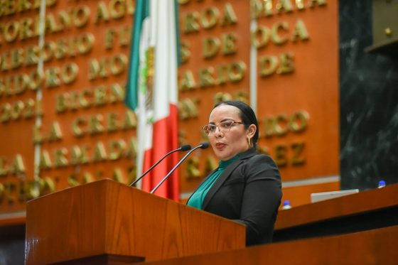 PIDE DIPUTADA REFORZAMIENTO Y REHABILITACIÓN DEL SISTEMA DE TABLESTACADO EN LA ENTRADA DE SAN JERÓNIMO