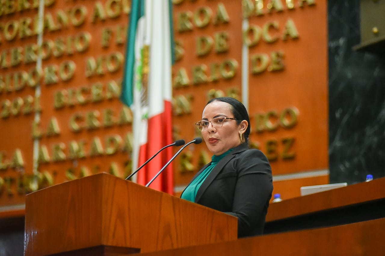 PIDE DIPUTADA REFORZAMIENTO Y REHABILITACIÓN DEL SISTEMA DE TABLESTACADO EN LA ENTRADA DE SAN JERÓNIMO