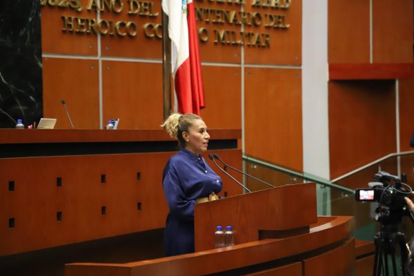 PLANTEA DIPUTADA QUE LAS PENSIONES VUELVAN A CALCULARSE EN SALARIOS MÍNIMOS Y YA NO EN UMAS
