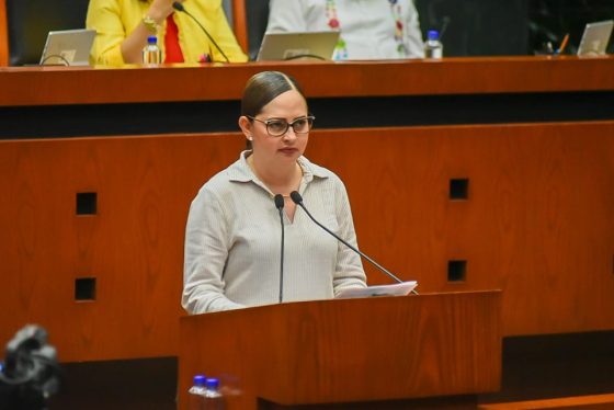 PROPONE DIPUTADA GARANTIZAR PRESUPUESTO Y MANTENIMIENTO PARA PLAYAS INCLUYENTES EN TECPAN Y ZIHUATANEJO