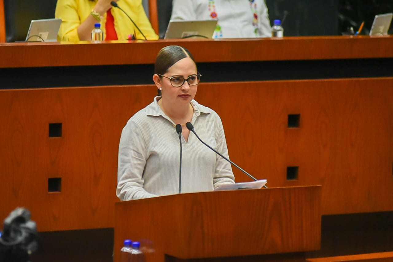 PROPONE DIPUTADA GARANTIZAR PRESUPUESTO Y MANTENIMIENTO PARA PLAYAS INCLUYENTES EN TECPAN Y ZIHUATANEJO