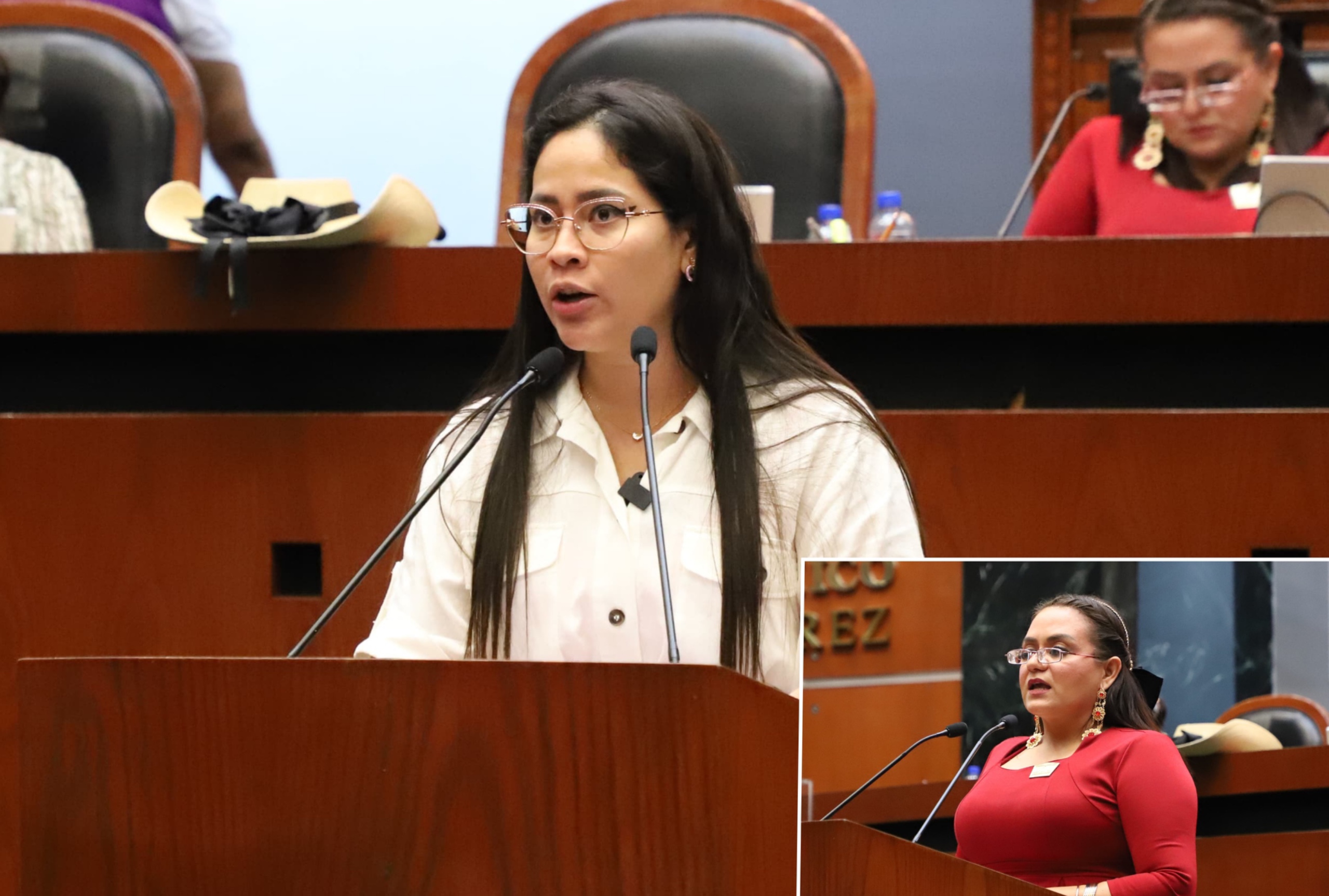 PRESENTA DIPUTADA REFORMA PARA GARANTIZAR IDENTIDAD DE GÉNERO, EXPRESIÓN DE GÉNERO Y ORIENTACIÓN SEXUAL EN GUERRERO
