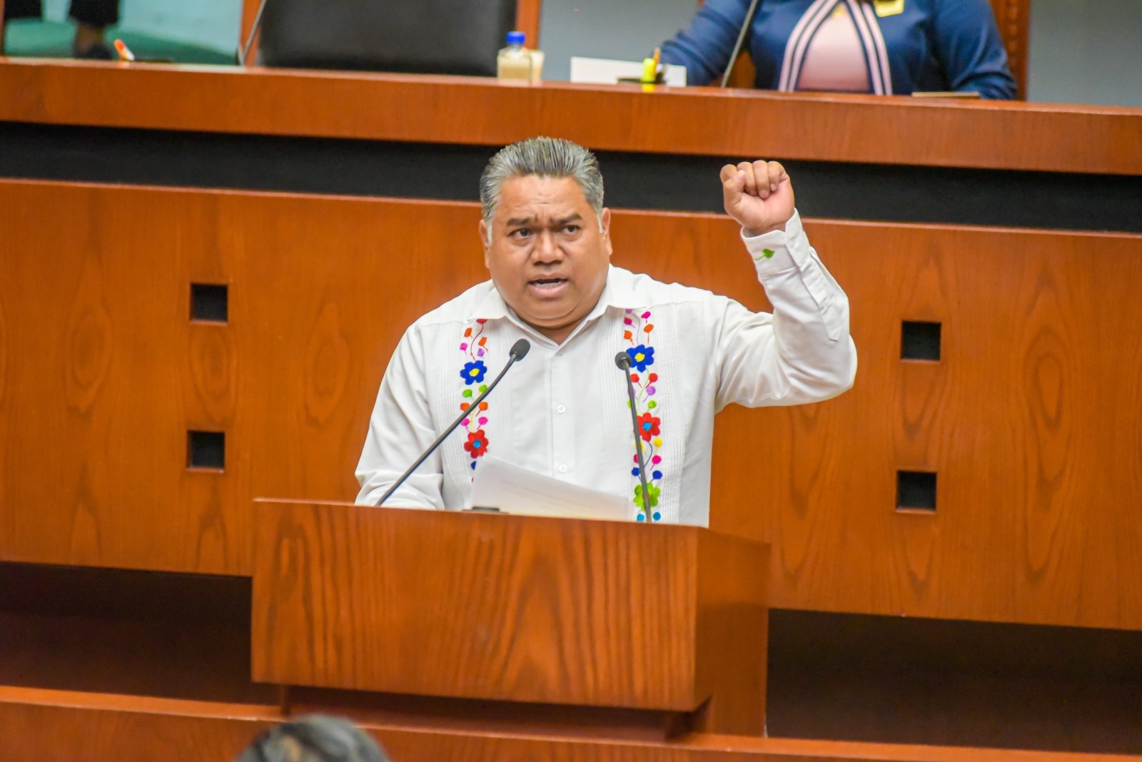 PLANTEA DIPUTADO RECONOCER LA DISCAPACIDAD INTELECTUAL PARA GARANTIZAR PROTECCIÓN A DICHO SECTOR