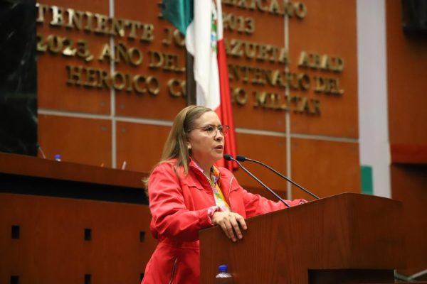 PROPONE DIPUTADA ACCESO UNIVERSAL A EDUCACIÓN INICIAL PARA EL DESARROLLO INTEGRAL DE LA NIÑEZ EN GUERRERO