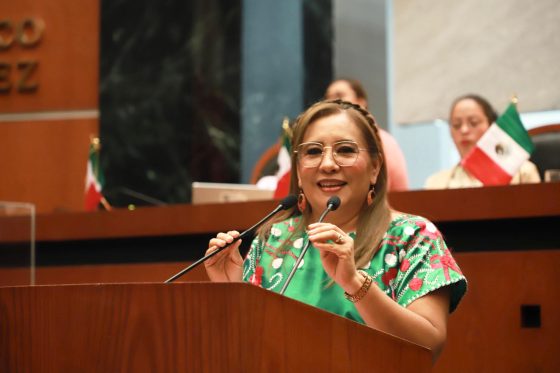 PROPONE DIPUTADA QUE SALUD MENTAL SEA UN DERECHO Y ERRADICAR BRECHA SALARIAL POR GÉNERO
