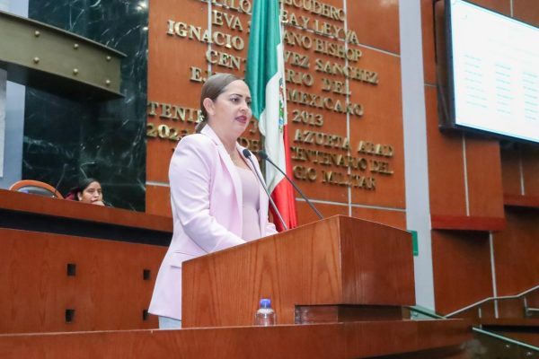 PIDE DIPUTADA REPARACIÓN DE LIBRAMIENTO DE TECPAN, DAÑADO POR TORMENTAS