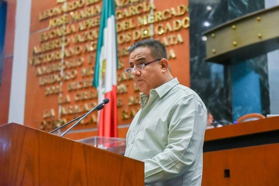 PROPONE DIPUTADO QUE AYUNTAMIENTOS PREVENGAN Y ERRADIQUEN EL TRABAJO INFANTIL EN GUERRERO