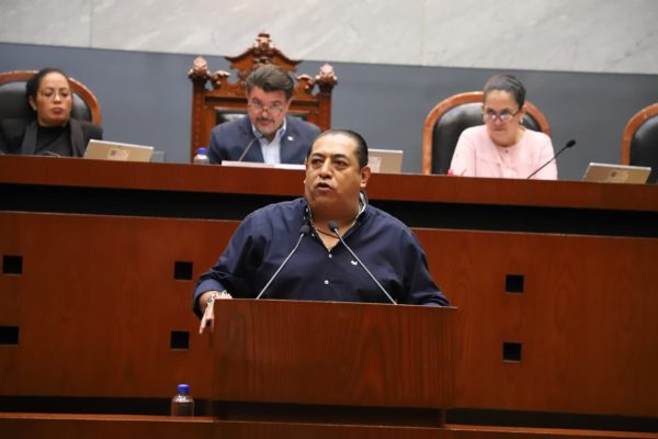 PROPONE DIPUTADO ATENCIÓN MÉDICA ESPECIALIZADA A DOMICILIO PARA NIÑAS Y NIÑOS CON DISCAPACIDAD