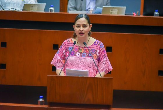 PROPONE DIPUTADA INICIATIVA PARA GARANTIZAR LA CORRECTA INSTALACIÓN DE REDUCTORES DE VELOCIDAD EN GUERRERO