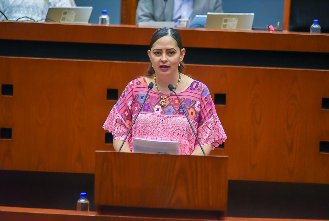 PROPONE DIPUTADA INICIATIVA PARA GARANTIZAR LA CORRECTA INSTALACIÓN DE REDUCTORES DE VELOCIDAD EN GUERRERO