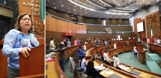 EXHORTA EL CONGRESO A LIMPIEZA DE TERRENOS BALDÍOS PARA EVITAR PELIGROS POR MOSCOS Y FAUNA NOCIVA