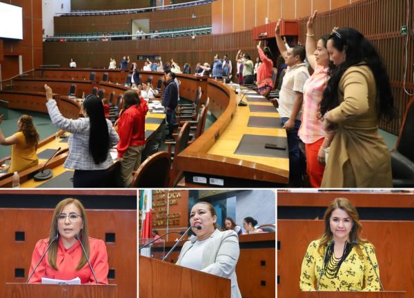 EXHORTA EL CONGRESO A FORTALECER PROTECCIÓN DE DATOS DE VÍCTIMAS Y AGILIZAR INVESTIGACIONES DE FEMINICIDIOS EN GUERRERO