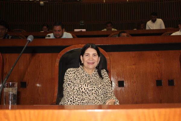 DIPUTADA PROPONE FORTALECER PARTICIPACIÓN POLÍTICA DE PERSONAS CON DISCAPACIDAD