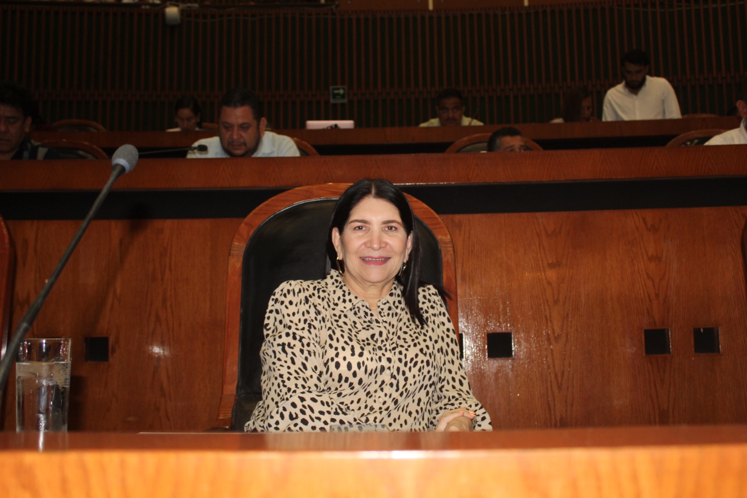 DIPUTADA PROPONE FORTALECER PARTICIPACIÓN POLÍTICA DE PERSONAS CON DISCAPACIDAD