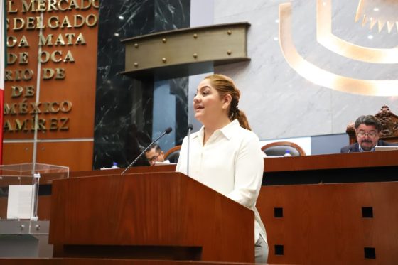 PIDE DIPUTADA QUE SE REACTIVE LA RED ESTATAL DE BIBLIOTECAS PÚBLICAS EN GUERRERO