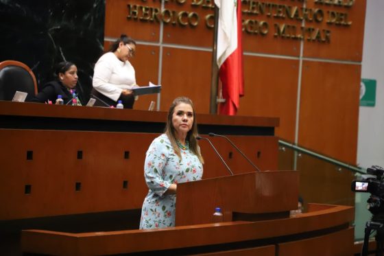 PIDE DIPUTADA QUE LA SEMUJER INFORME SOBRE CUMPLIMIENTO DE LA ALERTA DE VIOLENCIA DE GÉNERO EN GUERRERO