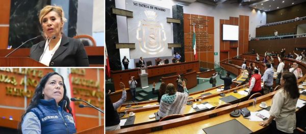 APRUEBA CONGRESO DE GUERRERO EXHORTO PARA PROTEGER A LA “PAROTA” COMO ESPECIE EN RIESGO