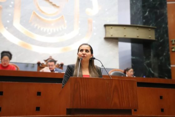 PIDE DIPUTADA A AYUNTAMIENTOS MODERNIZAR REGLAMENTOS DE TRÁNSITO Y VIALIDAD