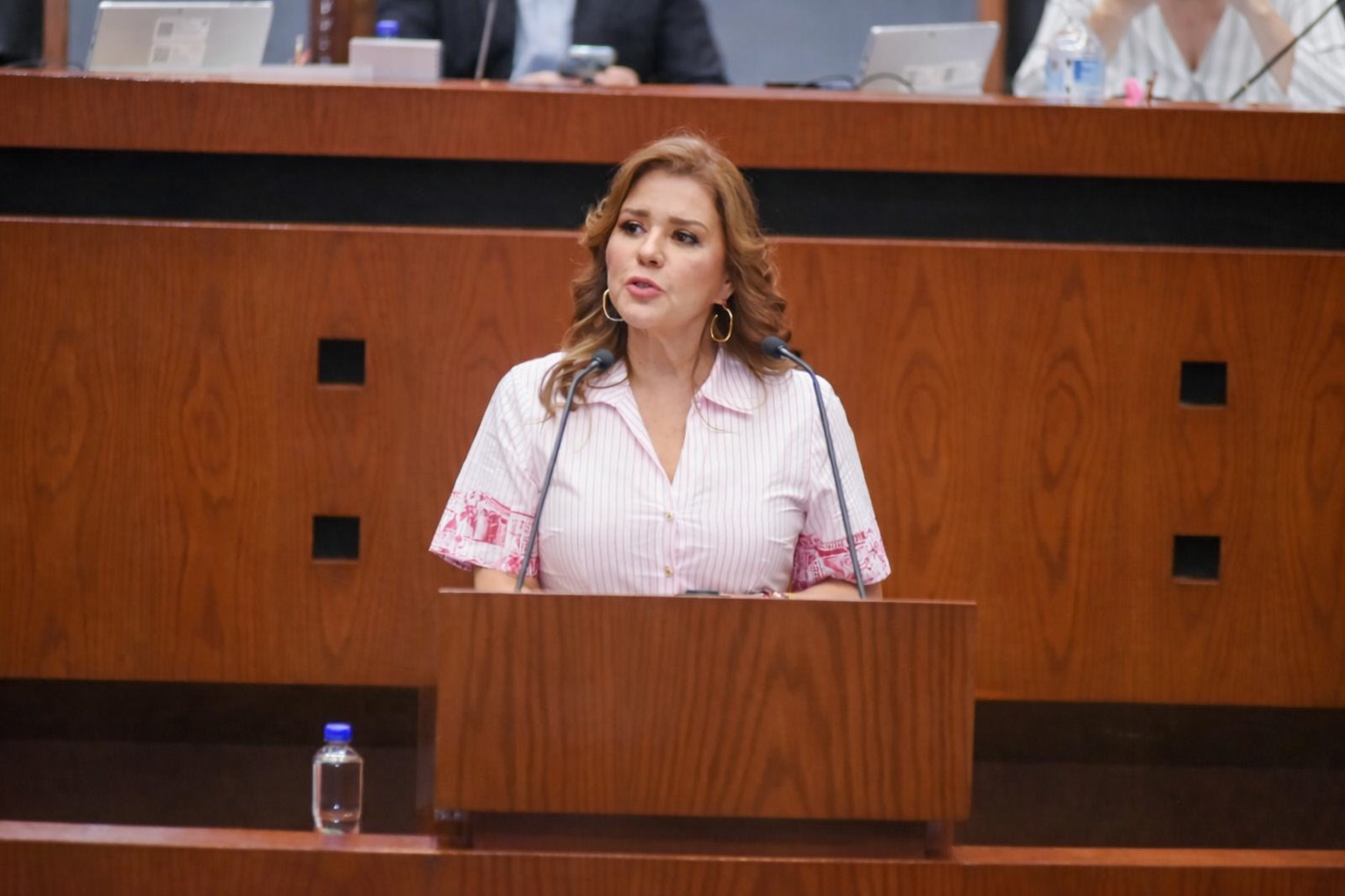 PROPONE DIPUTADA EXHORTO PARA RESTABLECER ENERGÍA ELÉCTRICA EN MUSEOS DE ACAPULCO