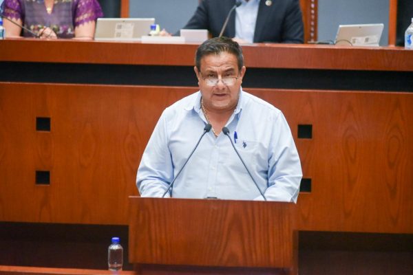 PROPONE DIPUTADO REFORMA PARA ERRADICAR EMBARAZOS ADOLESCENTES