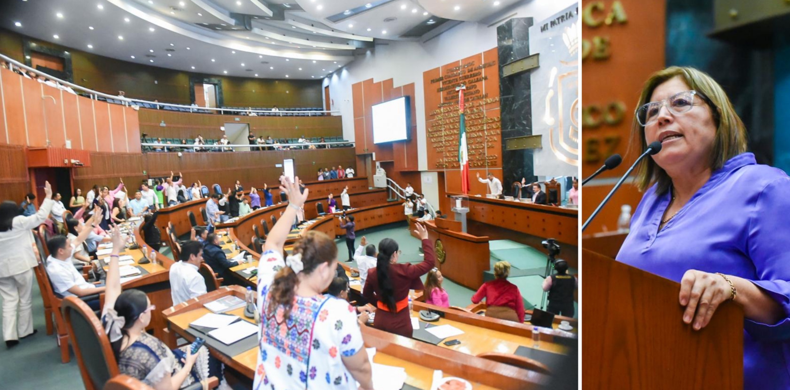 EL CONGRESO DE GUERRERO RECONOCE LA SALUD MENTAL COMO PRIORIDAD SANITARIA