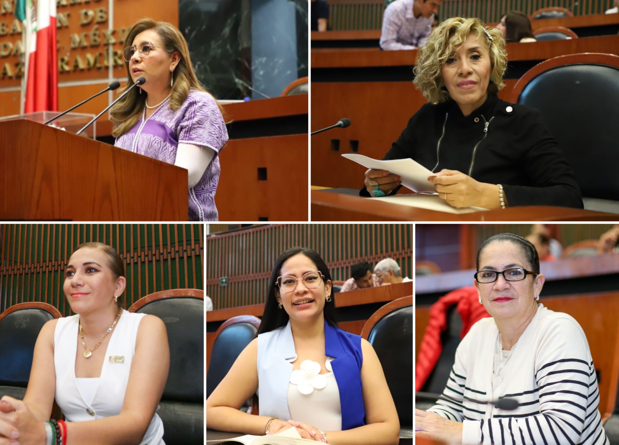 BUSCA COMISIÓN DE IGUALDAD DE GÉNERO IMPEDIR CANDIDATURAS A AGRESORES CON SENTENCIAS FIRMES Y DEUDORES ALIMENTARIOS