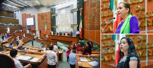 CONGRESO EXHORTA A MUNICIPIOS Y A SEMAREN A REFORZAR LA PRESERVACIÓN DEL JAGUAR EN GUERRERO