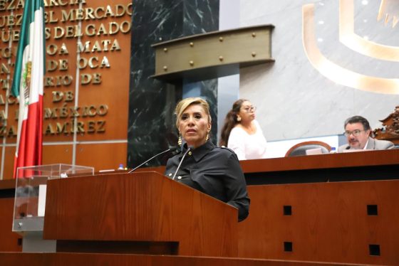 PROPONE DIPUTADA MAYOR ILUMINACIÓN EN ESPACIOS PÚBLICOS PARA CONTRIBUIR A DISMINUIR DELITOS EN GUERRERO