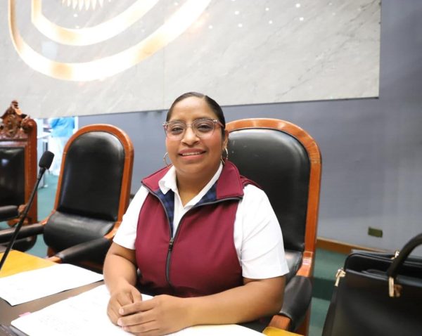 IMPULSAN EN EL CONGRESO EL RESPETO A LOS DERECHOS POLÍTICOS DE LOS PUEBLOS INDÍGENAS Y AFROMEXICANOS