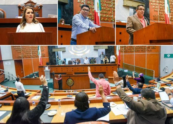 EXHORTA CONGRESO A PROFECO A REALIZAR OPERATIVOS EN LA MONTAÑA Y COSTA CHICA, Y A LA STPS PARA LA ENTRADA EN VIGOR DE LA “LEY SILLA”