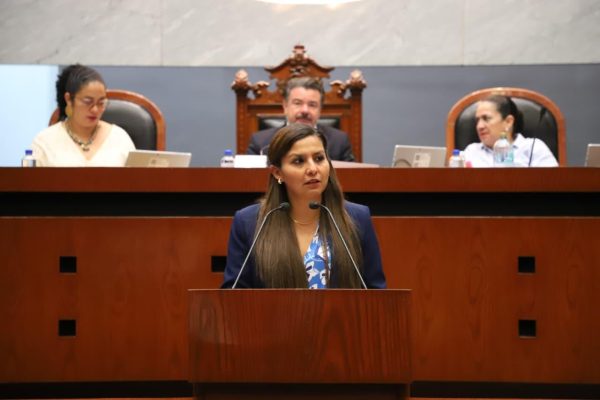 PROPONEN GARANTIZAR CONVIVENCIA REGULAR DE NIÑAS Y NIÑOS CON AMBOS PROGENITORES