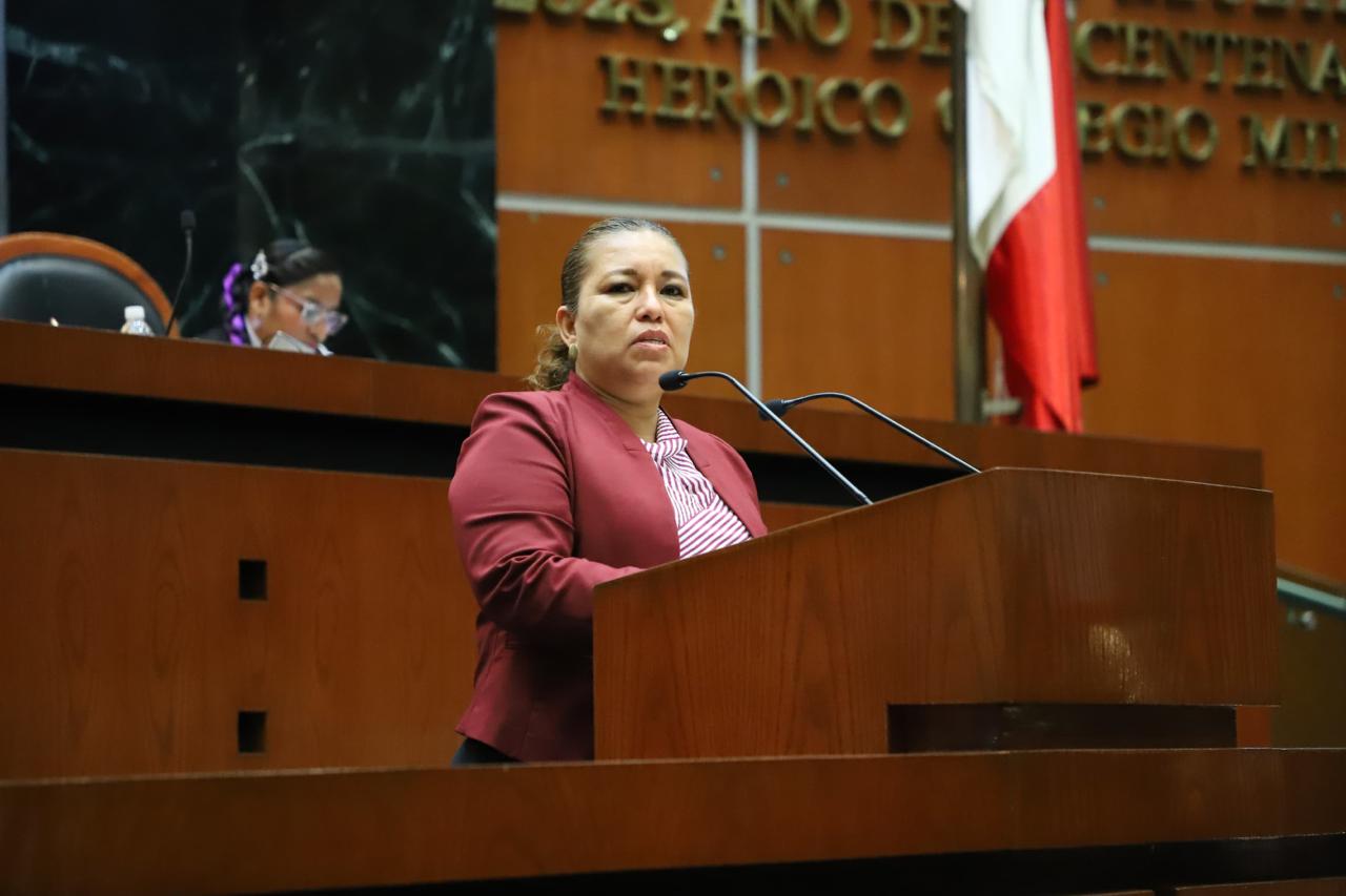 DIPUTADA PIDE A MUNICIPIOS GARANTIZAR DESCUENTOS Y TARIFAS PREFERENCIALES DE TRANSPORTE PARA PERSONAS ADULTAS MAYORES