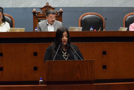 PROPONE DIPUTADA REFORMAS PARA FORTALECER PARIDAD, AUSTERIDAD Y CERTEZA ELECTORAL EN GUERRERO