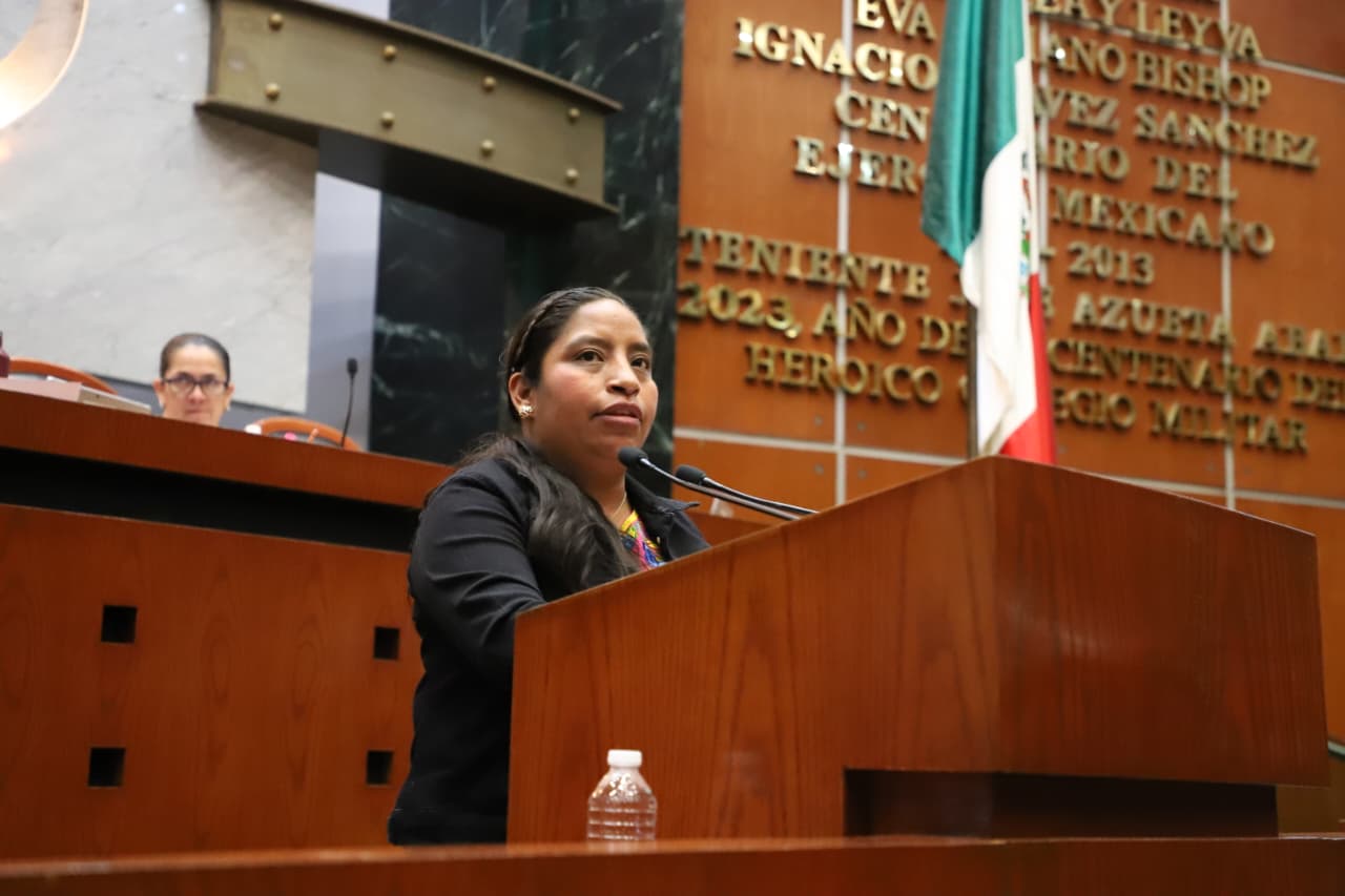 DIPUTADA PIDE INTENSIFICAR ACCIONES CONTRA EL GUSANO BARRENADOR EN COSTA CHICA Y MONTAÑA