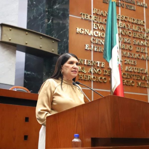 PROPONE DIPUTADA CREACIÓN DE UN SISTEMA DIGITAL DE INVENTARIO DE BIENES DEL ESTADO