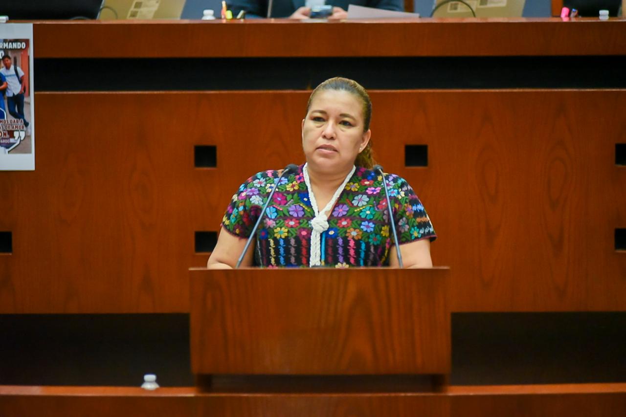 IMPULSA DIPUTADA INICIATIVA PARA PROTEGER LA IDENTIDAD CULTURAL Y COMUNITARIA DE LAS JUVENTUDES
