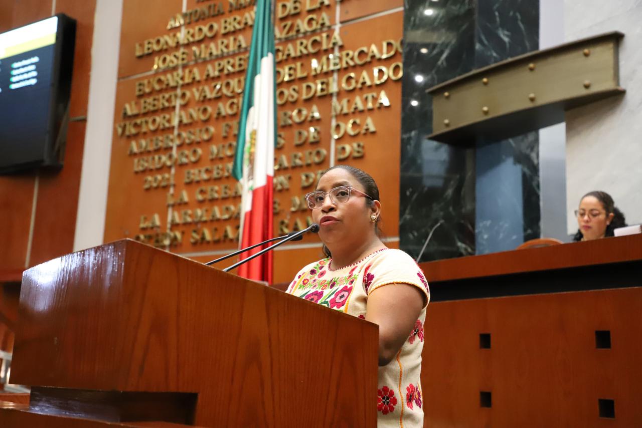 PROPONE DIPUTADA FORTALECER DERECHOS POLÍTICO-ELECTORALES DE LOS PUEBLOS INDÍGENAS Y AFROMEXICANO
