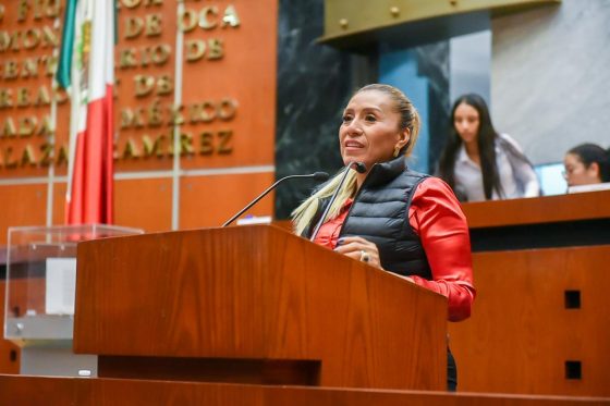 PROPONE DIPUTADA GARANTIZAR LA EDUCACIÓN PLURILINGÜE EN GUERRERO