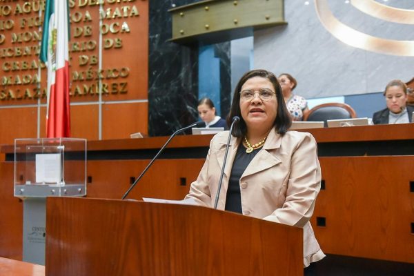 Llaman desde el Congreso a verificar que escuelas privadas cuenten con RVOE