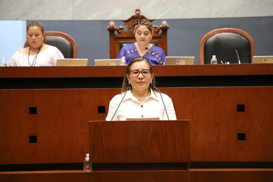 Exhorta el Congreso a ayuntamientos para regular el uso de la pirotecnica