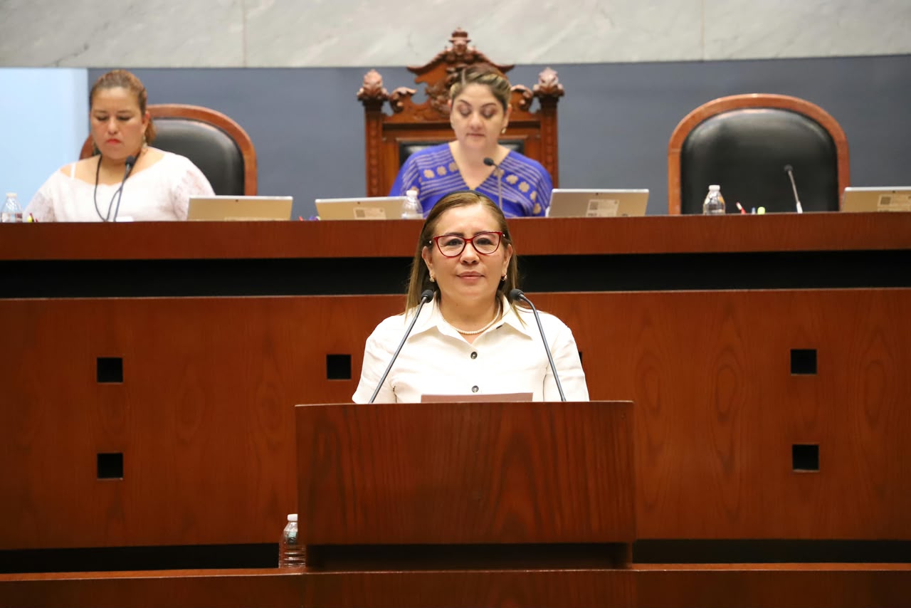 Exhorta el Congreso a ayuntamientos para regular el uso de la pirotecnica