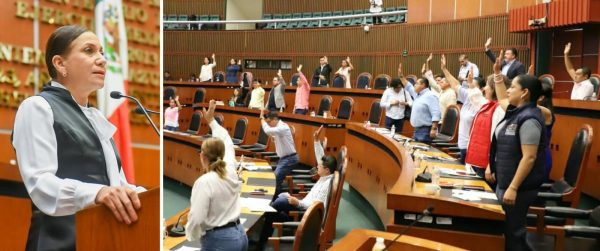Llama el Congreso a municipios a garantizar el bienestar de los animales