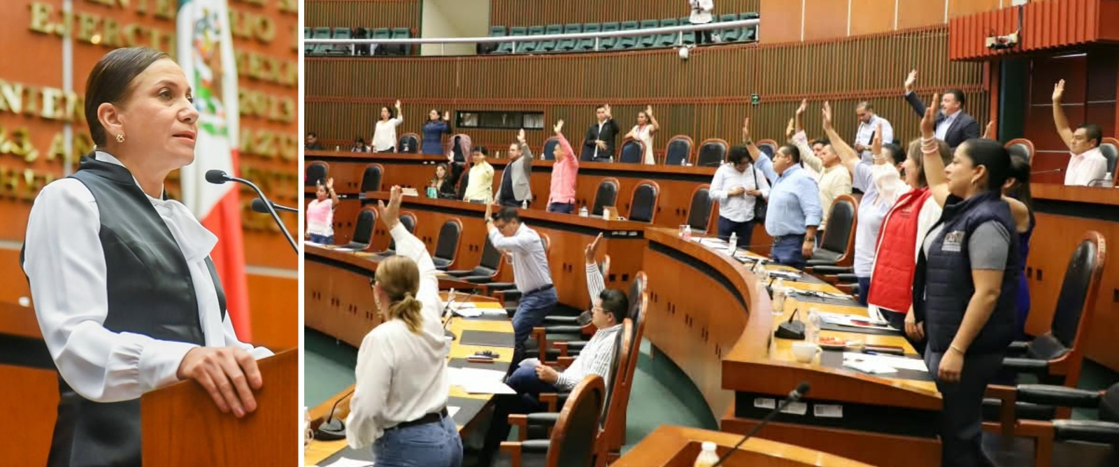 Llama el Congreso a municipios a garantizar el bienestar de los animales